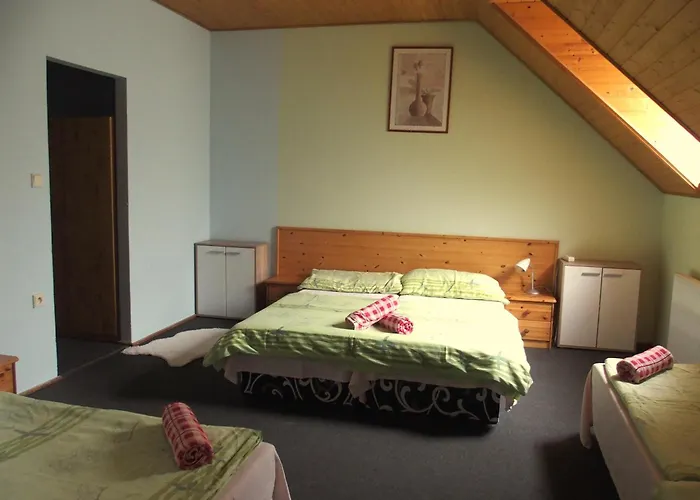 Penzion Rapsach Gasthuis 3*